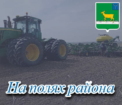 На полях района. На полях района.