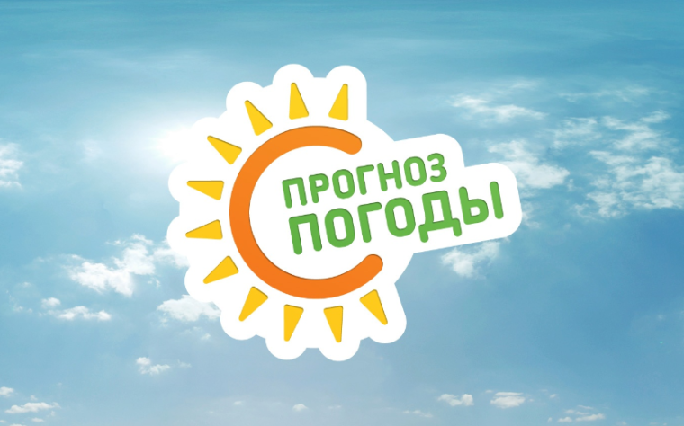 Оперативный прогноз. Оперативный прогноз.